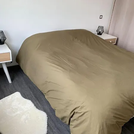 Le Cocon De La Sarre Appartement